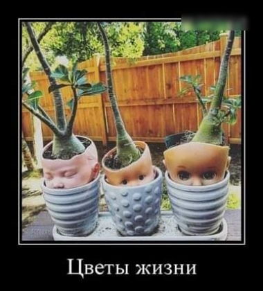 Цветы жизни