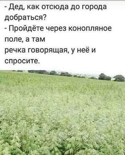 Дед как отсюда до города добраться Пройдёте через конопляное поле а там речка говорящая у неё и спросите
