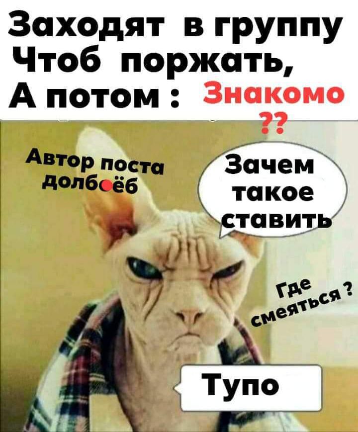 Заходят в группу Чтоб поржать А потом Знакомо пр нести Зачей 6е6 такое тавитЬ оь __ _ Тріо