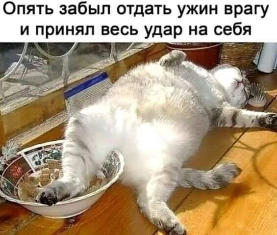Опять забыл отдать ужин врагу и принял весь удар на себя