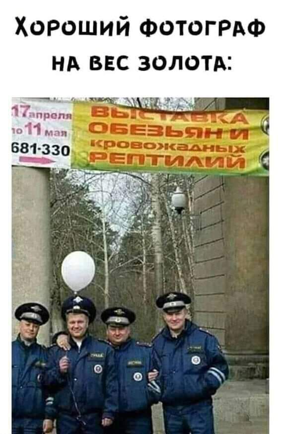 Хороший ФотогРАФ нд ввс ЗОЛОТА