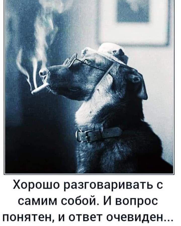 Хорошо разговаривать с самим собой И вопрос понятен и ответ очевиден