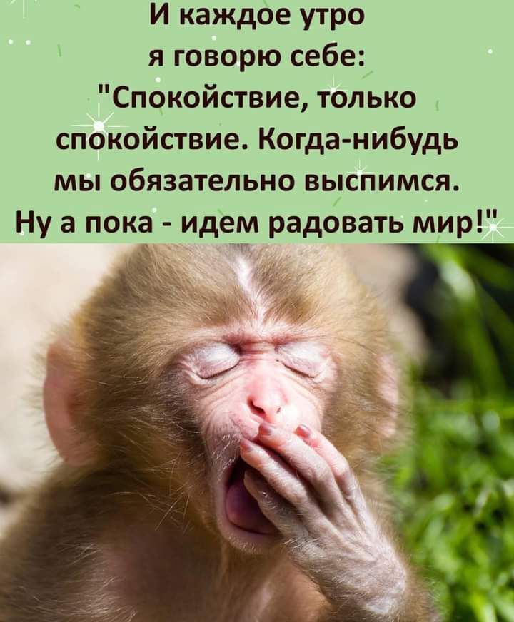 И каждое утро я говорю себе Спокойствие только спокойствие Когда нибудь мы обязательно выспимся Ну а пока идем радовать мир