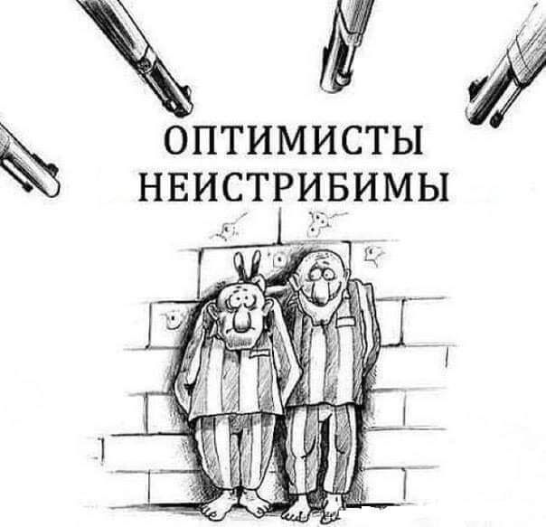 Й оптимисты нвисітрцвимы