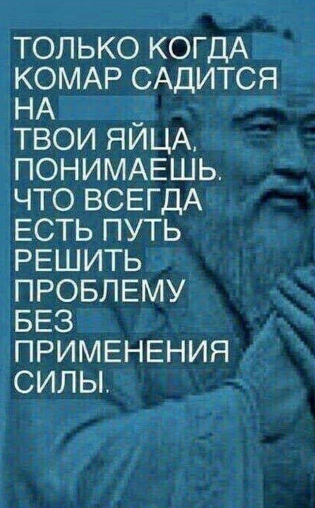 ТОЛЬКО КОГДА КОМАР САДИТСЯ НА ТВОИ ЯЙЦА ПОНИМАЕШЬ ЧТО ВСЕГДА ЕСТЬ ПУТЬ РЕШИТЬ ПРОБЛЕМУ БЕЗ ПРИМЕНЕНИЯ СИЛЫ