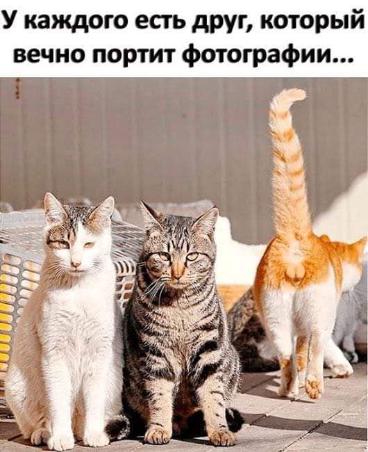 У каждого есть друг который вечно портит фотографии