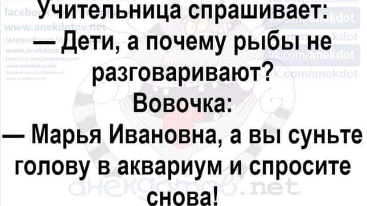 Учительница спрашивает:  дети, а почему рыбы не разговаривают? Вовочка:  марья ивановна, а вы суньте голову в аквариум и спросите снова!