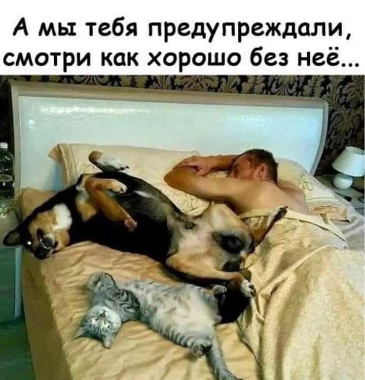А мы тебя предупреждали смотри как хорошо без неё