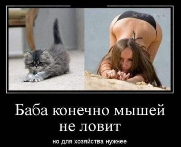 Баба конечно мышей не ловит но для хозяйства нужнее