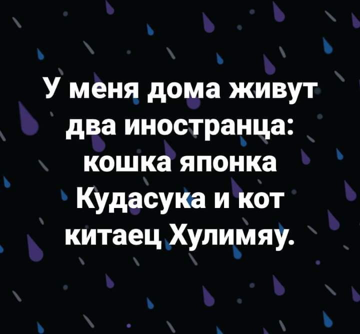 и У меня_ дома живут два иностранца кошка японка Кудасука и кот китаец _Хули_мяу