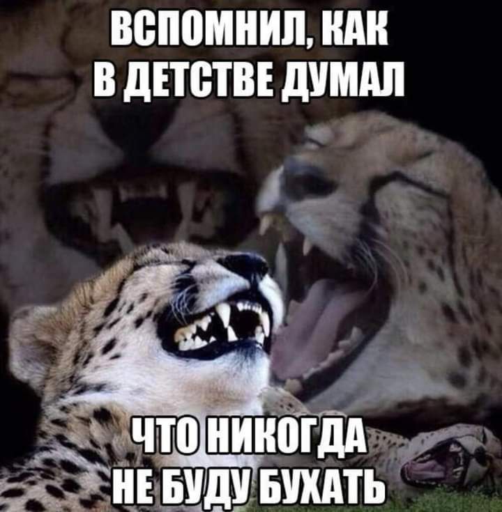 вспомнил Ш В дЕЮТВЕ ШШШ Ён види шить _ тж
