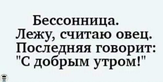 Ё Бессонница Лежу считаю овец Последняя говорит С добрым утром