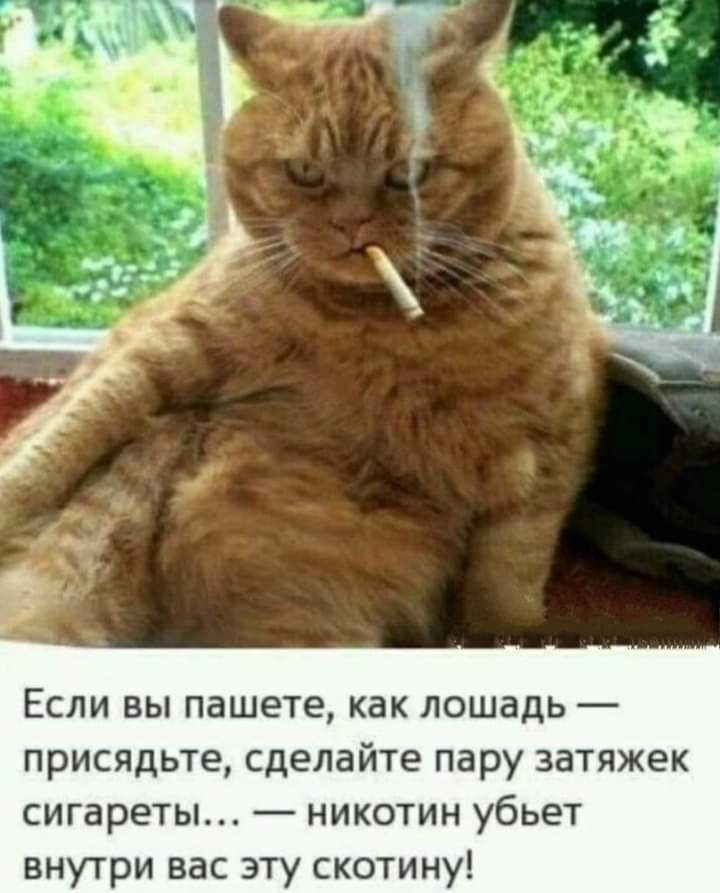 Если вы пашете как лошадь присядьте сделайте пару затяжек сигареты никотин убьет внутри вас эту скотину