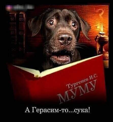 А Герасши тосука