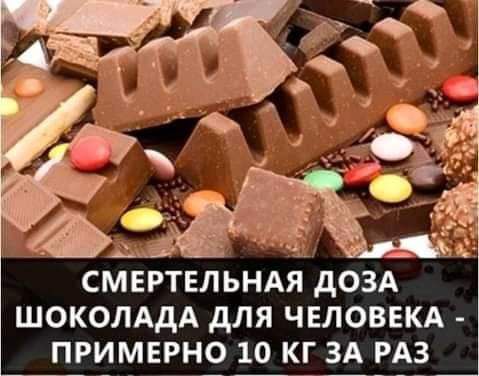 СМЕРТЕЛЬНАЯДОЗА ШОКОЛАДА дЛЯ ЧЕЛОВЕКА ПРИМЕРНО 10 КГ ЗА РАЗ