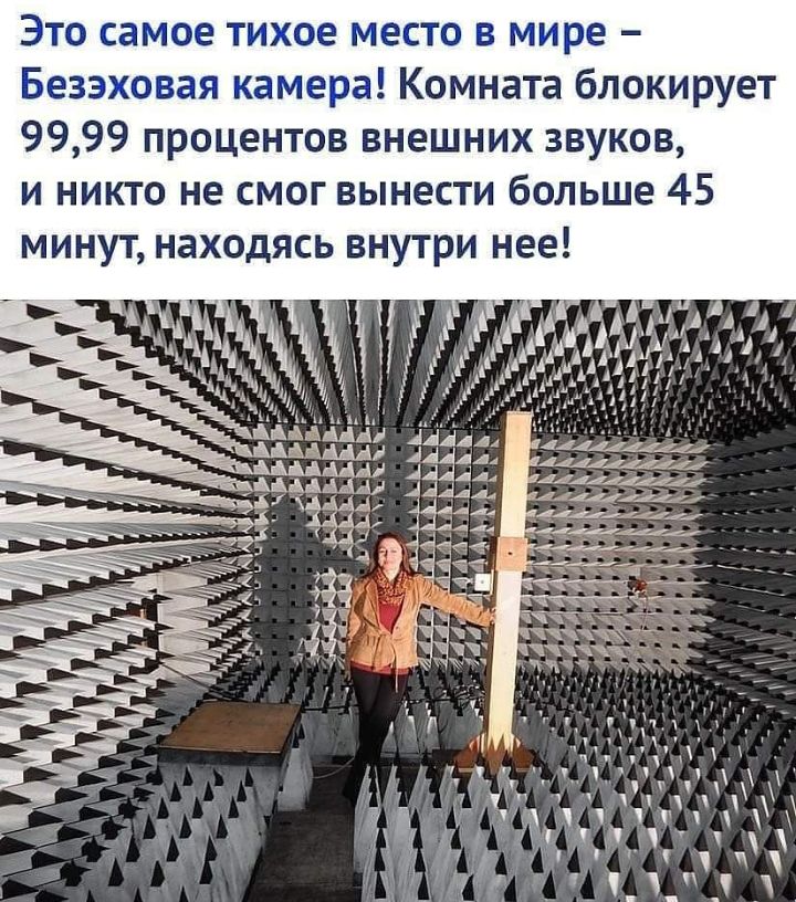 ЭТО самое тихое МЕСТО мире Безэковая камера Комната блокирует 9999 процентов внешних звуков и никто не смог вынести больше 45 минут находясь внутри нее
