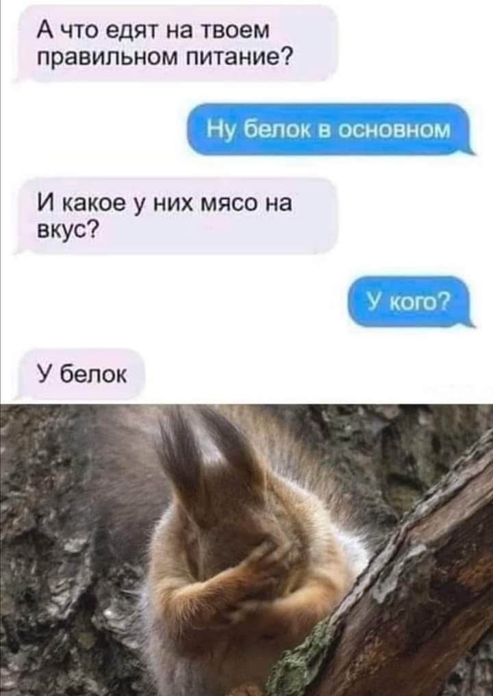 А что едят на твоем правильном питание И какое у них мясо на вкус У белок