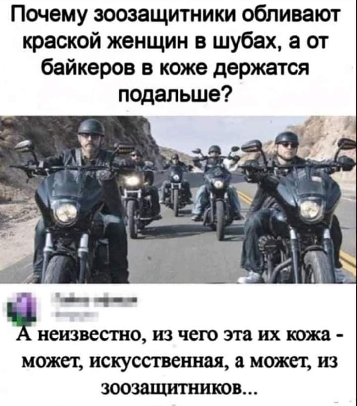 Почему зоозащитники обливают краской женщин в шубах а от байкеров в коже держатся подальше неизвестно из чего эта их кожа может искусственная 8 может 3 ЗООЗШШПШКОВ