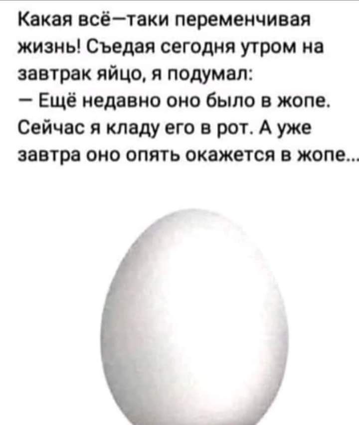 Какая всётаки переменчивая жизнь Съедая сегодня утром на завтрак яйцо я подумал Ещё недавно оно было в жопе Сейчас я кладу его в рот А уже завтра оно опять окажется в жопе
