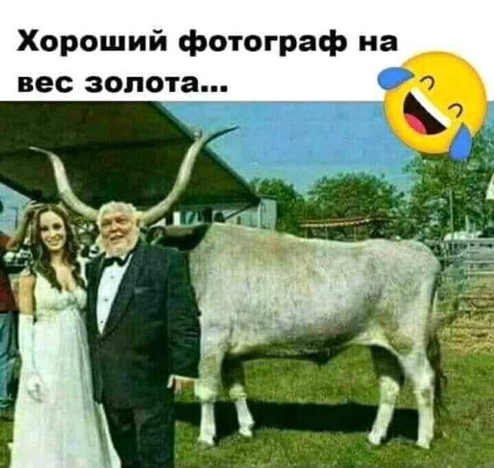 Хороший фотограф на вес золота
