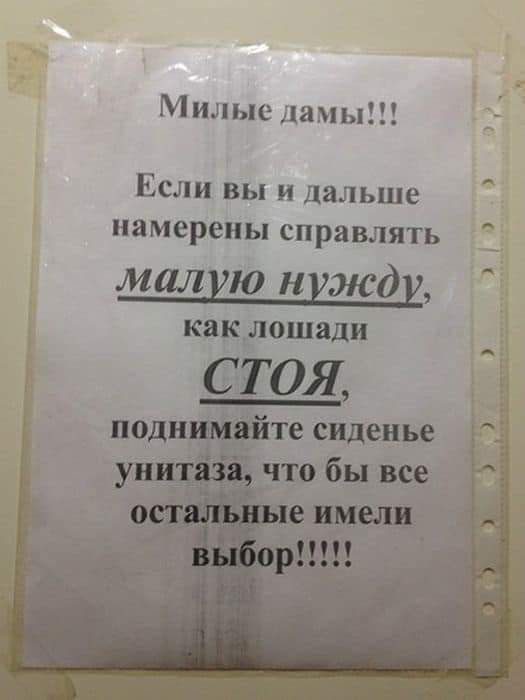 Милые дамы Если вы и дальше намерены справлять малую нужду как лошади
