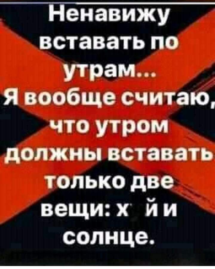 Ненавижу вставать по утрам Я вообще считаю что утром должны вставать только две вещи й и солнце