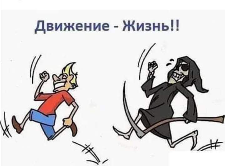 движение Жизнь