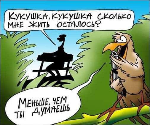 Кукушкккукушия сколько мня Жить остдось