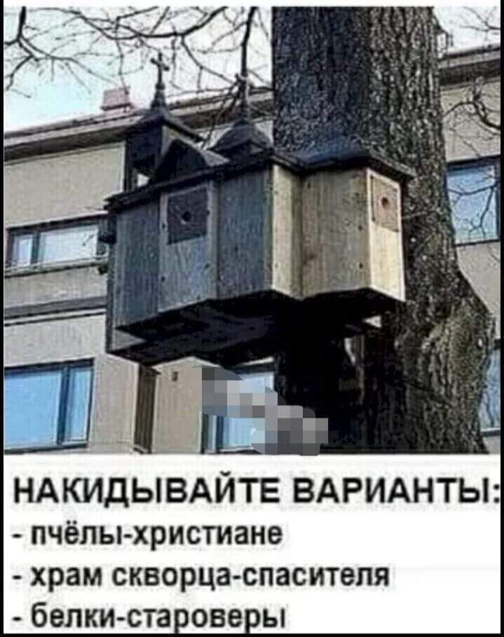 1 НАКИДЫВАЙТЕ ВАРИАНТЫ пчёлы христиане храм скворца спаситепя белки ста ове ы