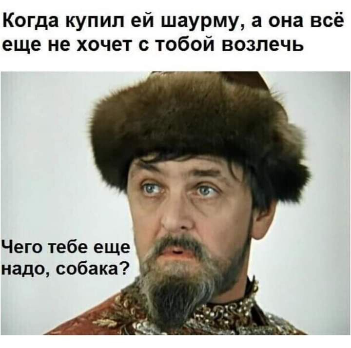 Когда купил ей шаурму а она всё еще не хочет с тобой возлечь пут Чего тебе еще надо собака