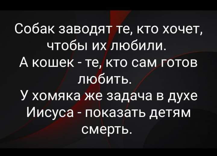 Собак заводят те кто хочет чтобы их любили А кошек те кто сам готов любить У хомяка же задача в духе Иисуса показать детям смерть