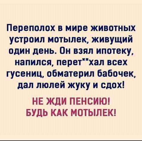 Переполох в мире животных устроил мотылек живущий один день Он взял ипотеку напился перетхап всех гусениц обматерил бабочек дал люлей жуку и сдох НЕ ЖДИ ПЕНСИЮ БУДЬ КАК МОТЫЛЕК