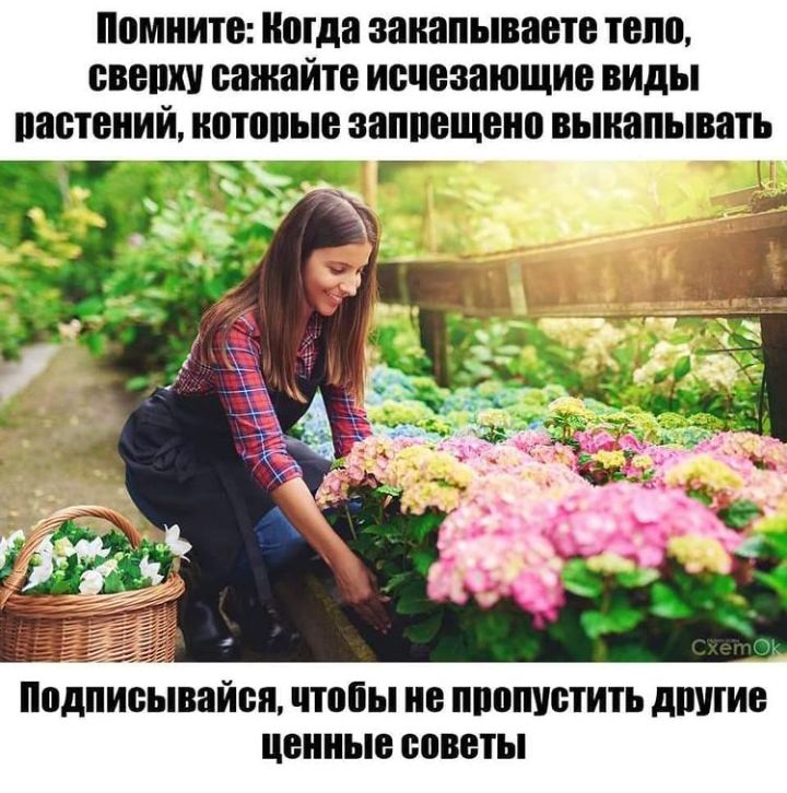 Помните Мда ЗЗКНПЫВЗЁЮ ТЕПВ СВЕШШ ВВЖВЙТВ исчезающие ВИДЫ ПЗСШНИЙ потовые ЗВПШЕЩЫШ выкапывать Подписывайся чтобы не ППППУБТИТЪ дшпие ценные СОВЕТЫ
