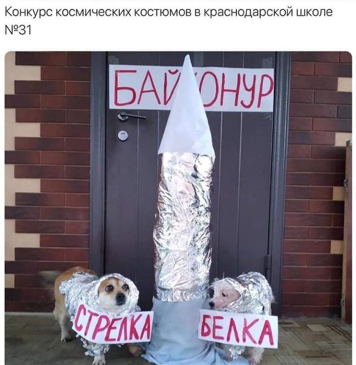Конкурс космических костюмов в краснодарской школе 31