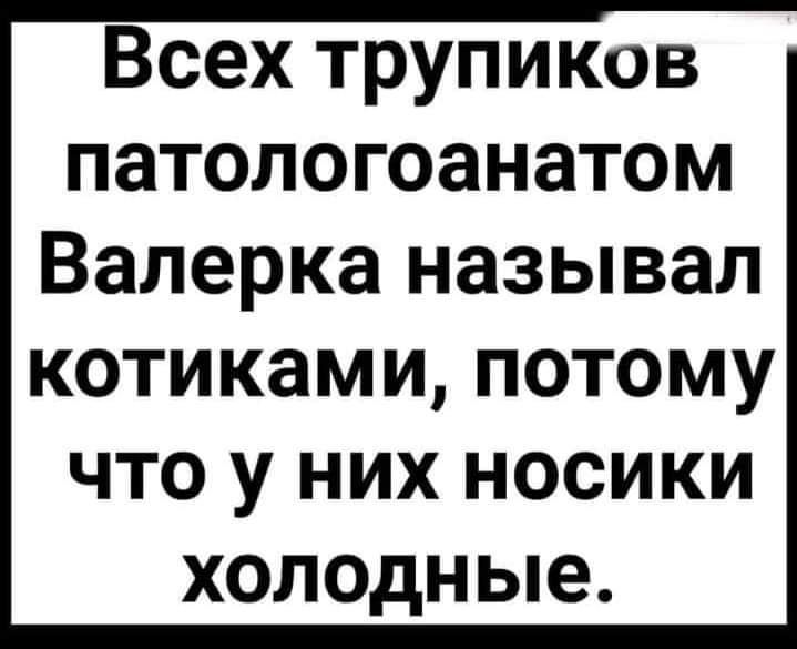 Всех трупиков патологоанатом Валерка называл котиками потому что у них носики холодные