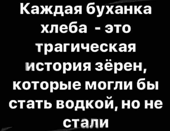 Каждая буханка хлеба это трагическая история зёрен которые могли бы стать водкой но не стали