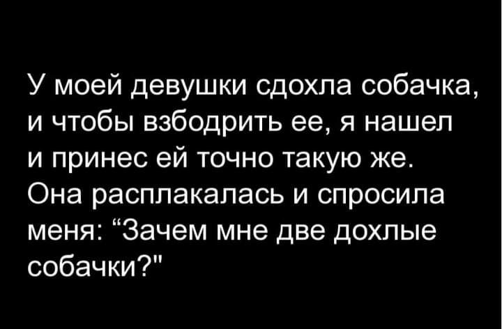 У моей девушки сдохла собачка и чтобы взбодрить ее я нашел и принес ей точно такую же Она расплакалась и спросила меня Зачем мне две дохлые собачки