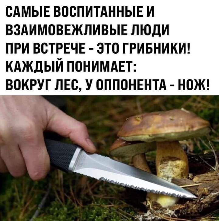 САМЫЕ воспитднныв и вздимовнжливыв люди при встрвчв это гривникш кдждый понимдвг вокруг лвс у оппонентд НОЖ