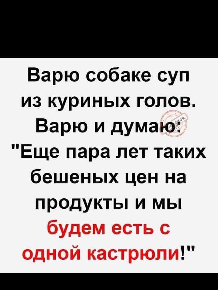 Варю собаке суп из куриных голов Варю и думаю Еще пара лет таких бешеных цен на продукты и мы