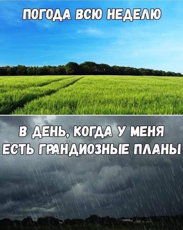 МПГОАА ВСЮ НЕЁ ДЕНЬ под дд гтндьдрдныв пмгны