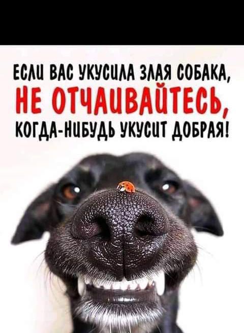 ШШ вдсдукчсим змя совдкА КОГАА МЦБУАЪ чкУснт довмяі