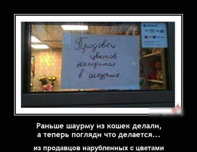 Раньше шаурму из кошек делали в ТЕПЕРЬ ПОГЛЯДИ ЧТО деЛаЕТСЯ ИЗ продавцов нарубленных С ЦВЕТЗМИ