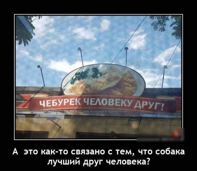 А это как то связано с тем что собака лучший друг человека