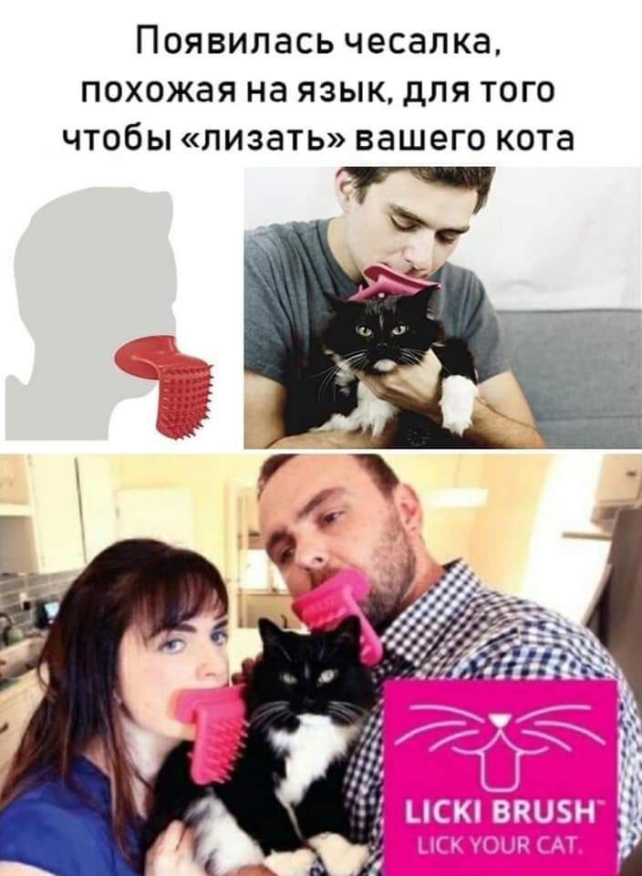 ПОЯВИЛВСЬ ЧЕСЭПКЗ похожая на ЯЗЫК ДЛЯ ТОГО ЧТОбЫ ЛИЗЗТЬ вашего кота