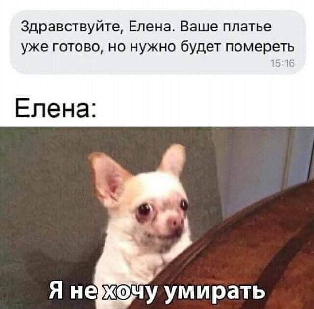Здравствуйте Елена Ваше платье уже готово но нужно будет помереть Елена Я не хочу умирать
