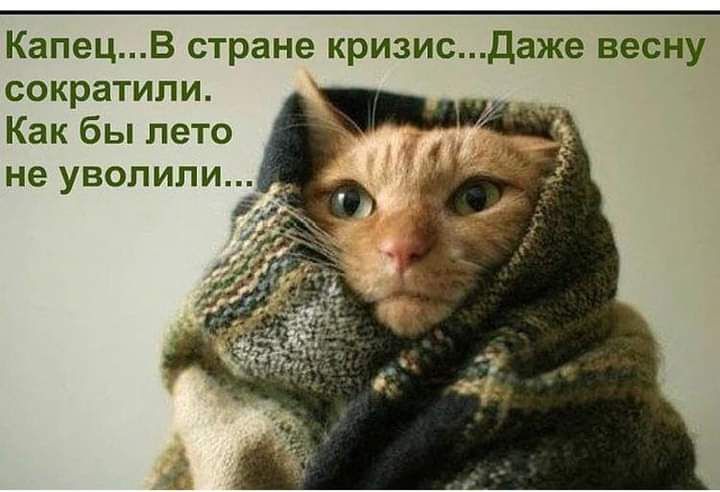 КапецВ стране кризисДаже весну сократили Как бы лето не уволили