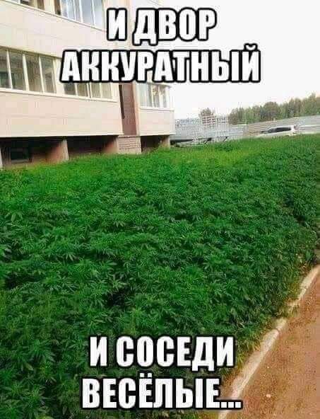и сцсвдиі ванны д _