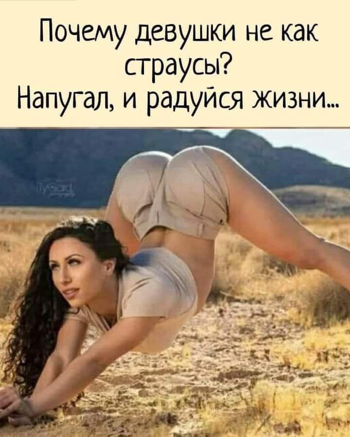 Почему девушки не как страусы Напугал и радуйся ЖИЗНИ