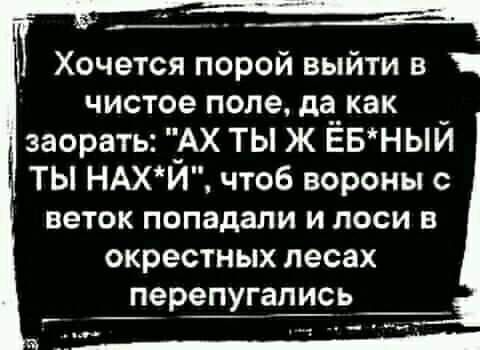 Хочется порой выйти в чистое поле да_ как заорать АХ ты ж Ёвный ТЫ НАХЙ чтоб вороны веток попадали и лоси в окрестных лесах перепугапись