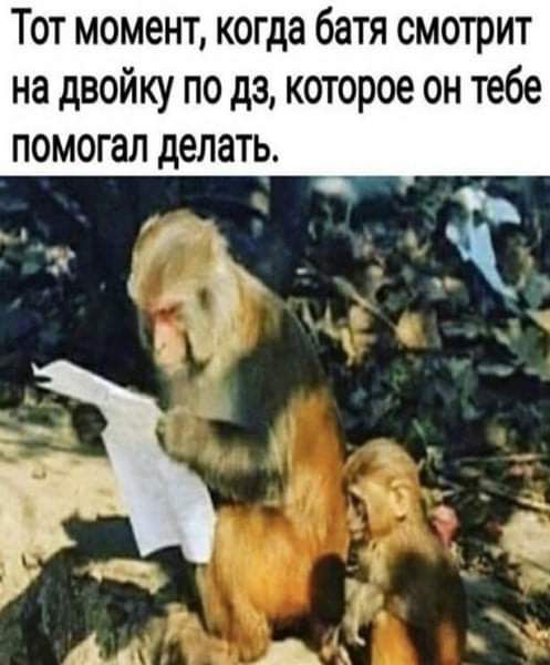 Тот момент когда батя смотрит на двойку по дз которое он тебе помогал делать